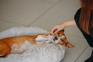 2023-11-08_A7200565 (1).jpg