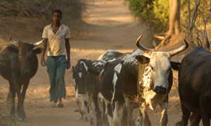 Відповідальність